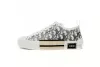 PKGoden Dior B23 Low Top Logo Oblique 3SN249YJP_H069