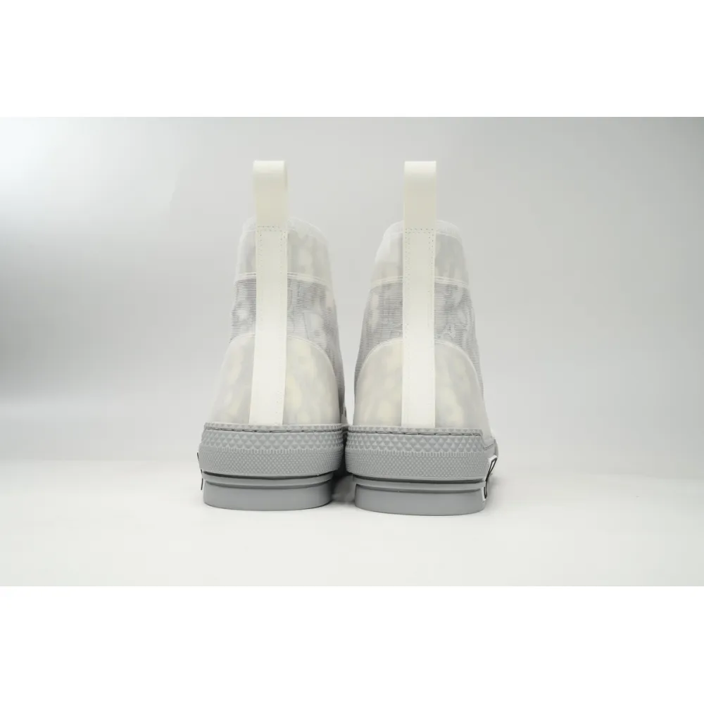 PKGoden Dior B23 HT Oblique Transparency High Silver Ash