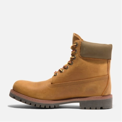 Timberland  Premium Waterproof Boot 01