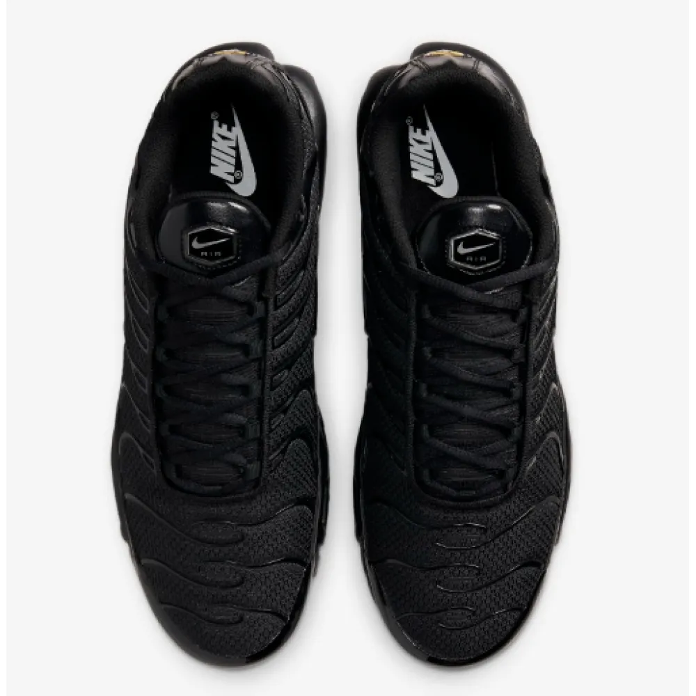 BoostMasterLin Air Max Plus Triple Black 604133-050