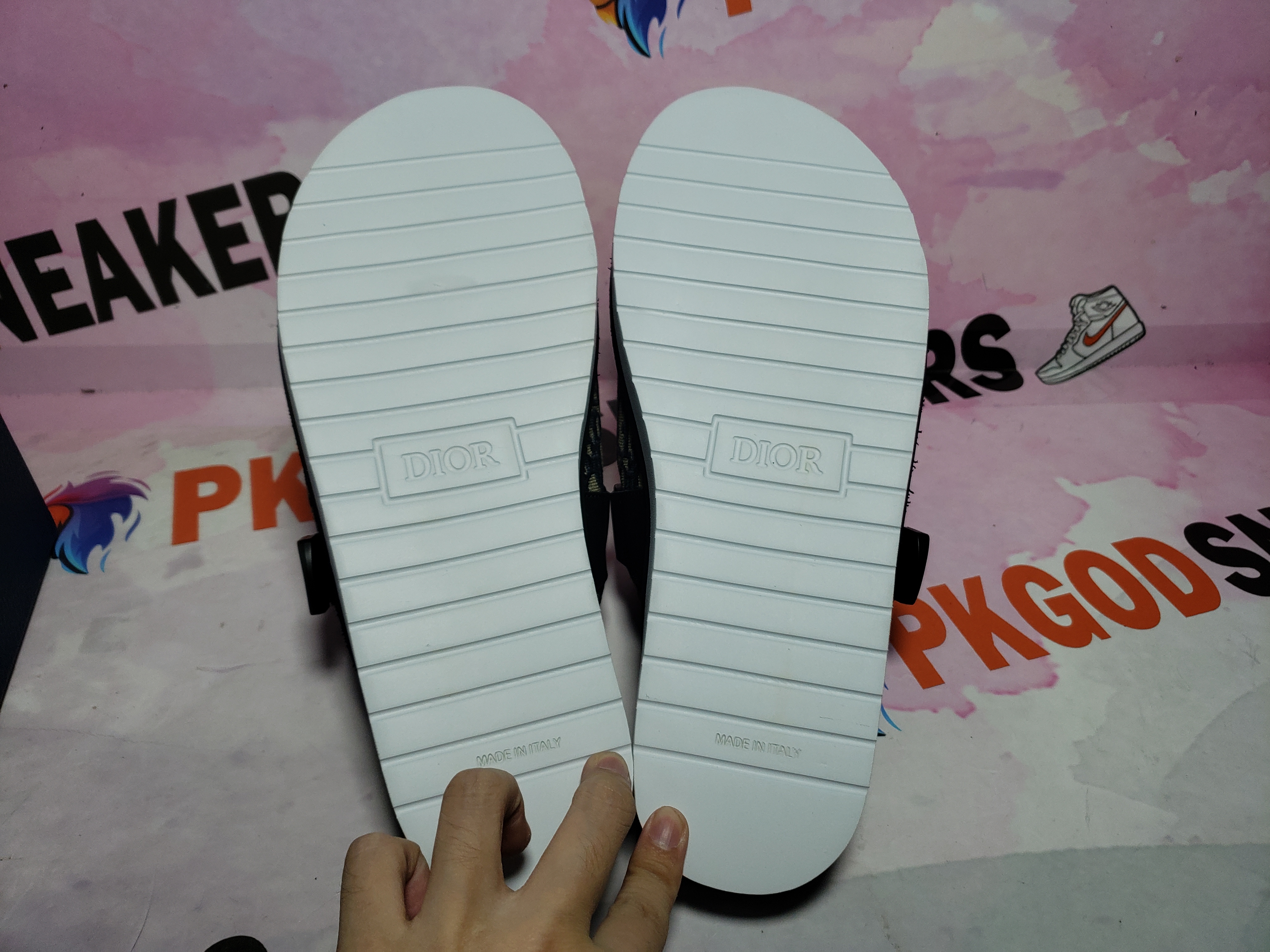 PKGoden Dior Alpha oblique Half Flower 3SN272ZIR 16536