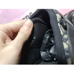 PKGoden Dior Alpha oblique Half Flower 3SN272ZIR 16536