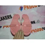 OG Dunk Low Real Pink,309324-613