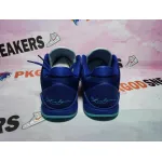PKGoden Zoom Kobe 5 Protro X-Ray HJ4303-400 