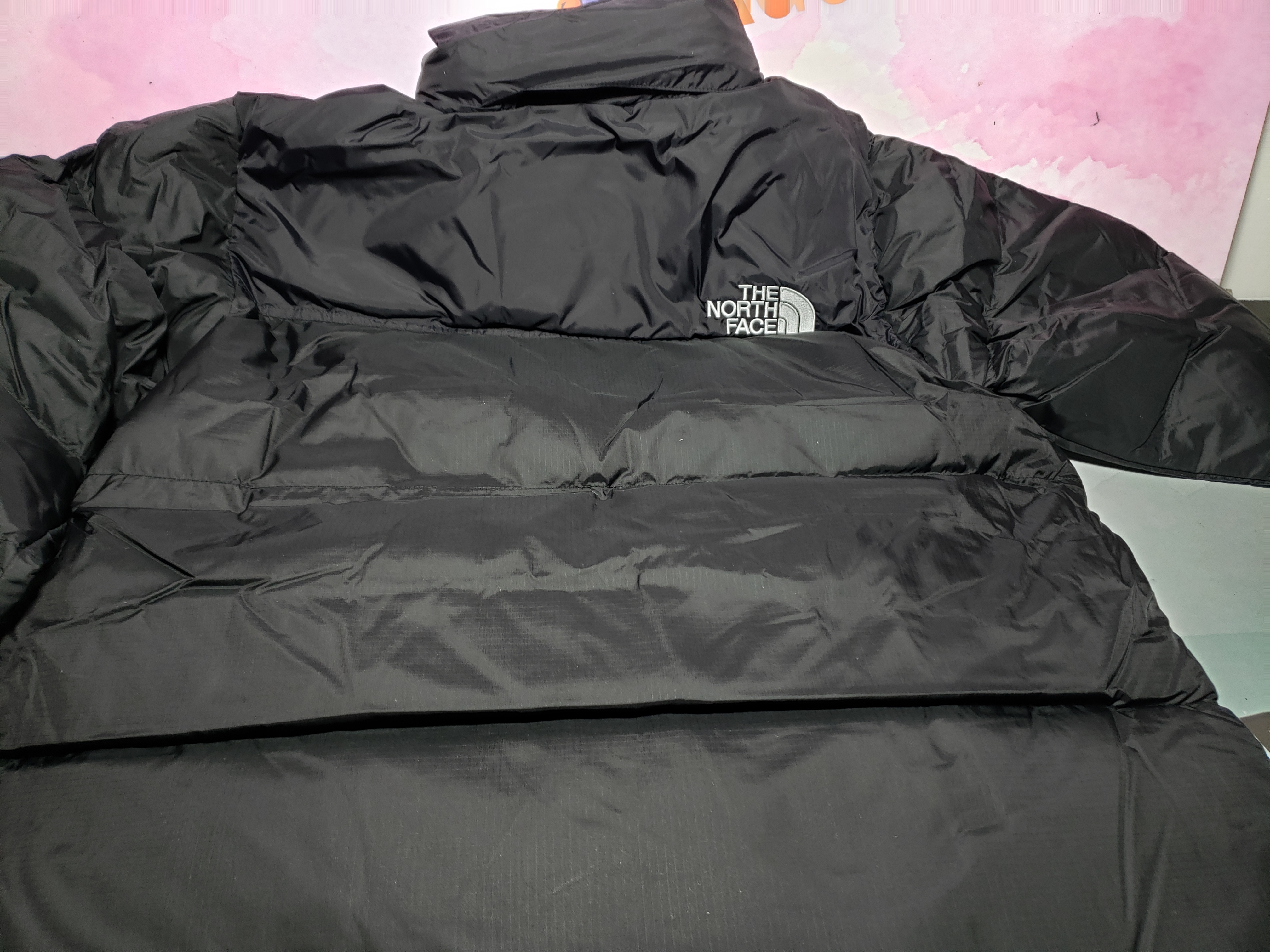 The North Face 96 basic Down Jacket 1901