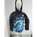 Supreme The North Face Statue of Liberty Mountain Jacket