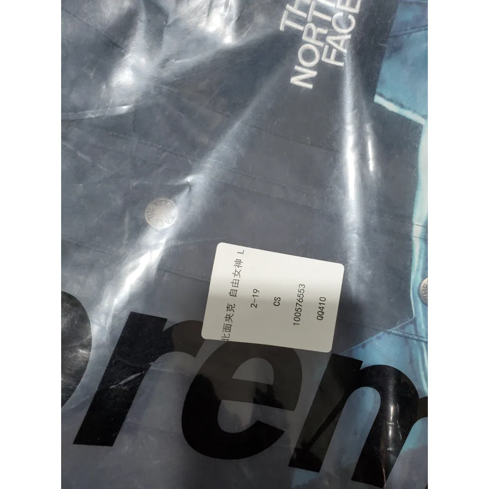 Supreme The North Face Statue of Liberty Mountain Jacket