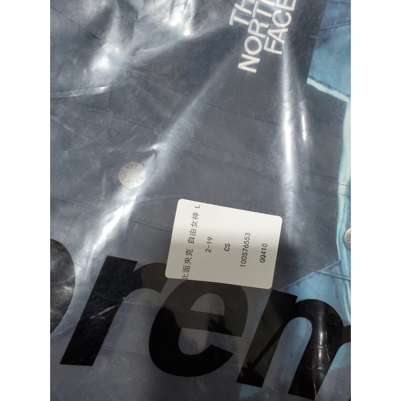 Supreme The North Face Statue of Liberty Mountain Jacket