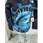 Supreme The North Face Statue of Liberty Mountain Jacket