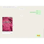 Sp5der Worldwide Pink Punk Hoodie