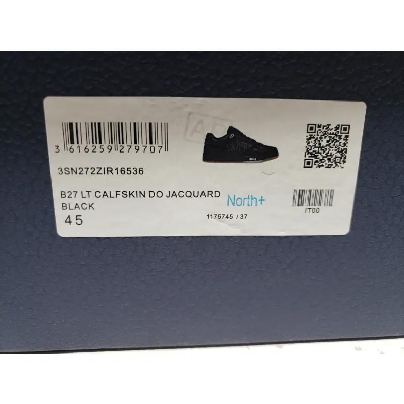 PKGoden Dior B27 Low ALL Black