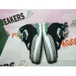 PKGoden Jordan 3 Retro Pine Green CT8532-030