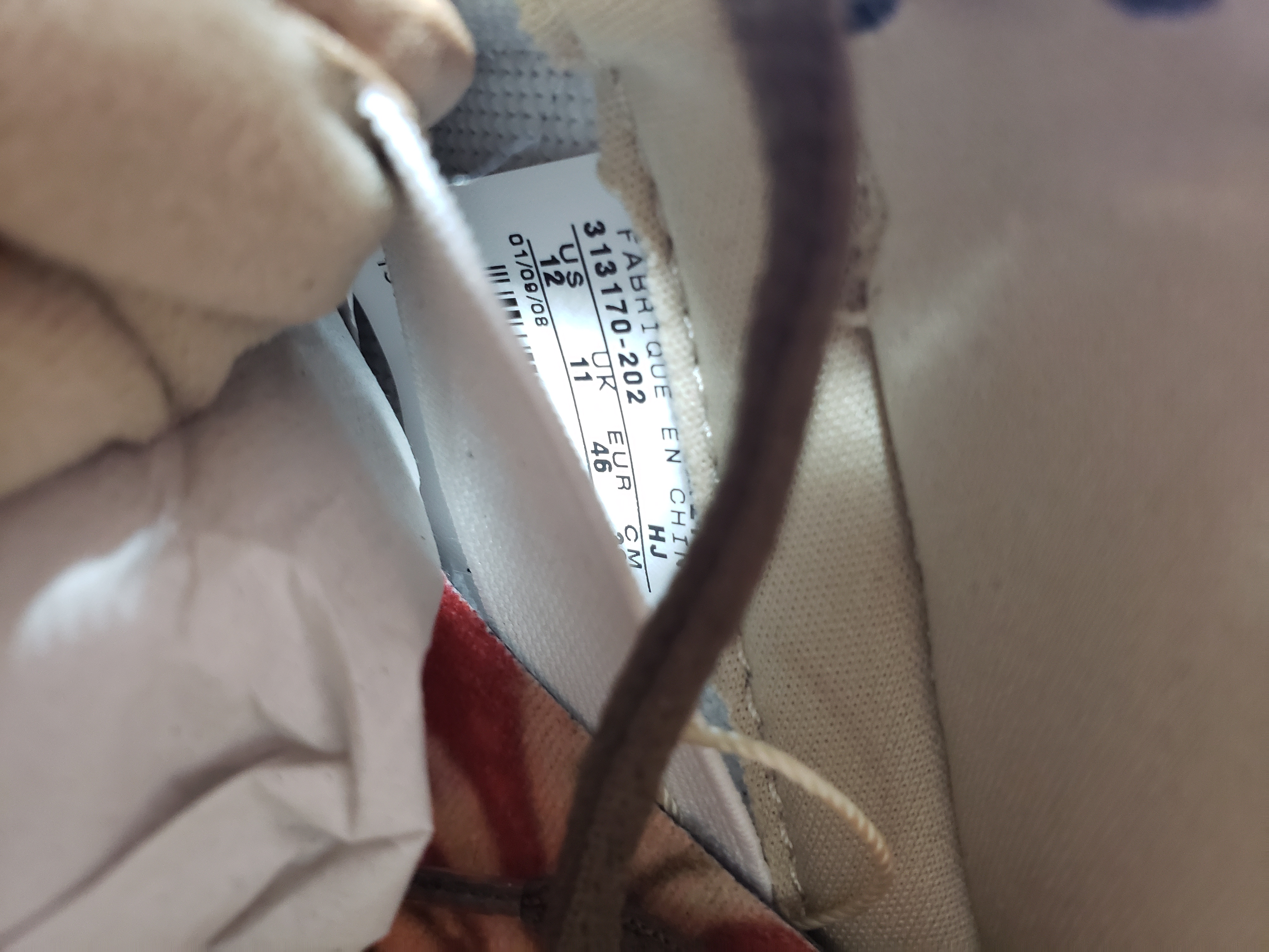 OG Dunk SB Low Freddy Krueger  313170-202