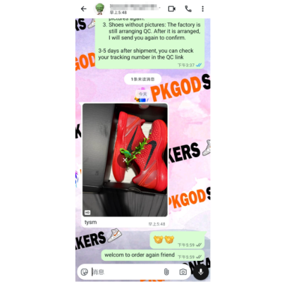 PKGoden Kobe 6 Protro Reverse Grinch FV4921-600 02