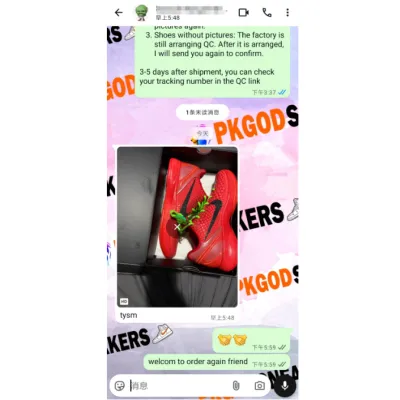 PKGoden Kobe 6 Protro Reverse Grinch FV4921-600 02