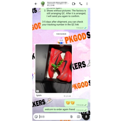 PKGoden Kobe 6 Protro Reverse Grinch FV4921-600 02