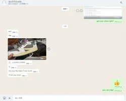 OG Jordan 1 Retro Low OG SP Travis Scott Reverse Mocha DM7866-162 review customer feedback 01