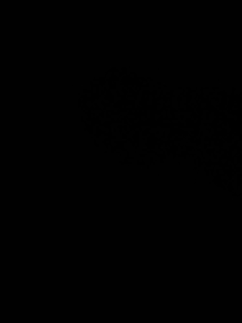 【Free Shipping】PKGoden Jordan 4 Retro Military Black  DH6927-111 review 