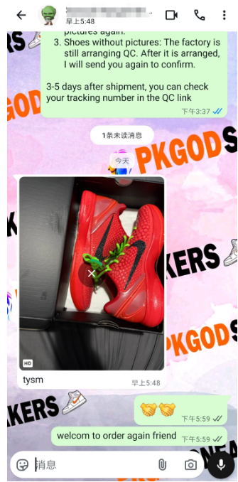 PKGoden Kobe 6 Protro Reverse Grinch FV4921-600 review 0