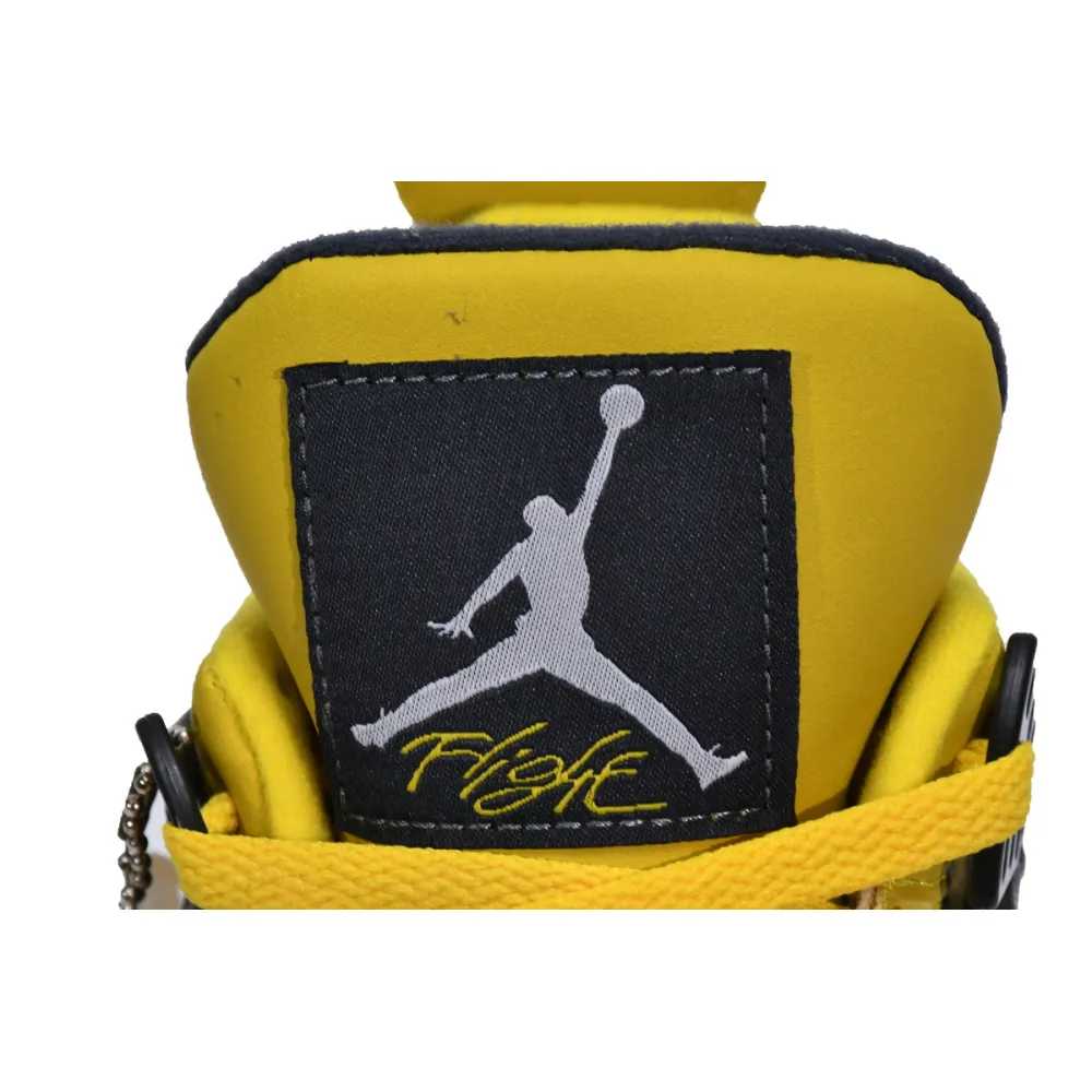 Jordan 4 Retro Lightning (2006) 314254-702