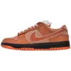 Buy Nike SB Dunk Low Concepts Orange Lobster FD8776-800 - Stockxbest.com