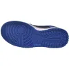 Buy Dunk Hyper Cobalt DD1391-001 - Stockxbest.com