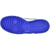Buy Nike Dunk Low Bright Crimson Game Royal CW1590-104 - Stockxbest.com
