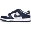 Buy Nike Dunk Low Georgetown On Feet CW1590-004 - Stockxbest.com