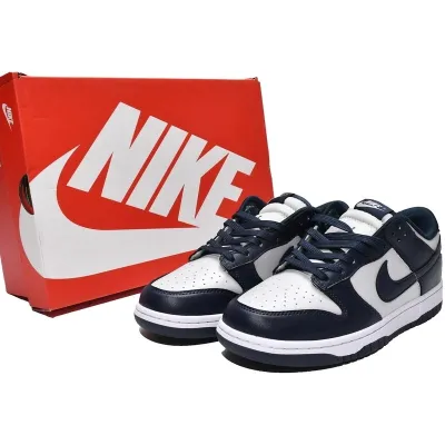 Buy Nike Dunk Low Georgetown On Feet CW1590-004 - Stockxbest.com