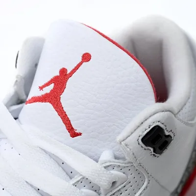Air Jordan 3 Retro 'Hall Of Fame'