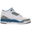 Air Jordan 3 Retro 'Wizards'