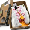 Off-White x Nike Dunk Low 'Lot 17'