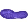 Nike Dunk Low 'Championship Court Purple'