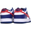 Nike Dunk Low 'USA' (W)