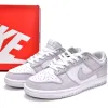 Nike Dunk Low 'Venice' (W)