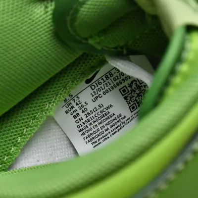 Nike Dunk Low 'Chlorophyll'