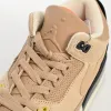 Air Jordan 3 Retro 'JTH Bio Beige'