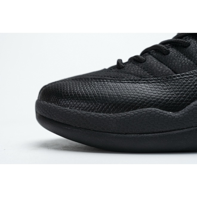 Jordan 12 Retro Black Dark Concord (Top Quality)