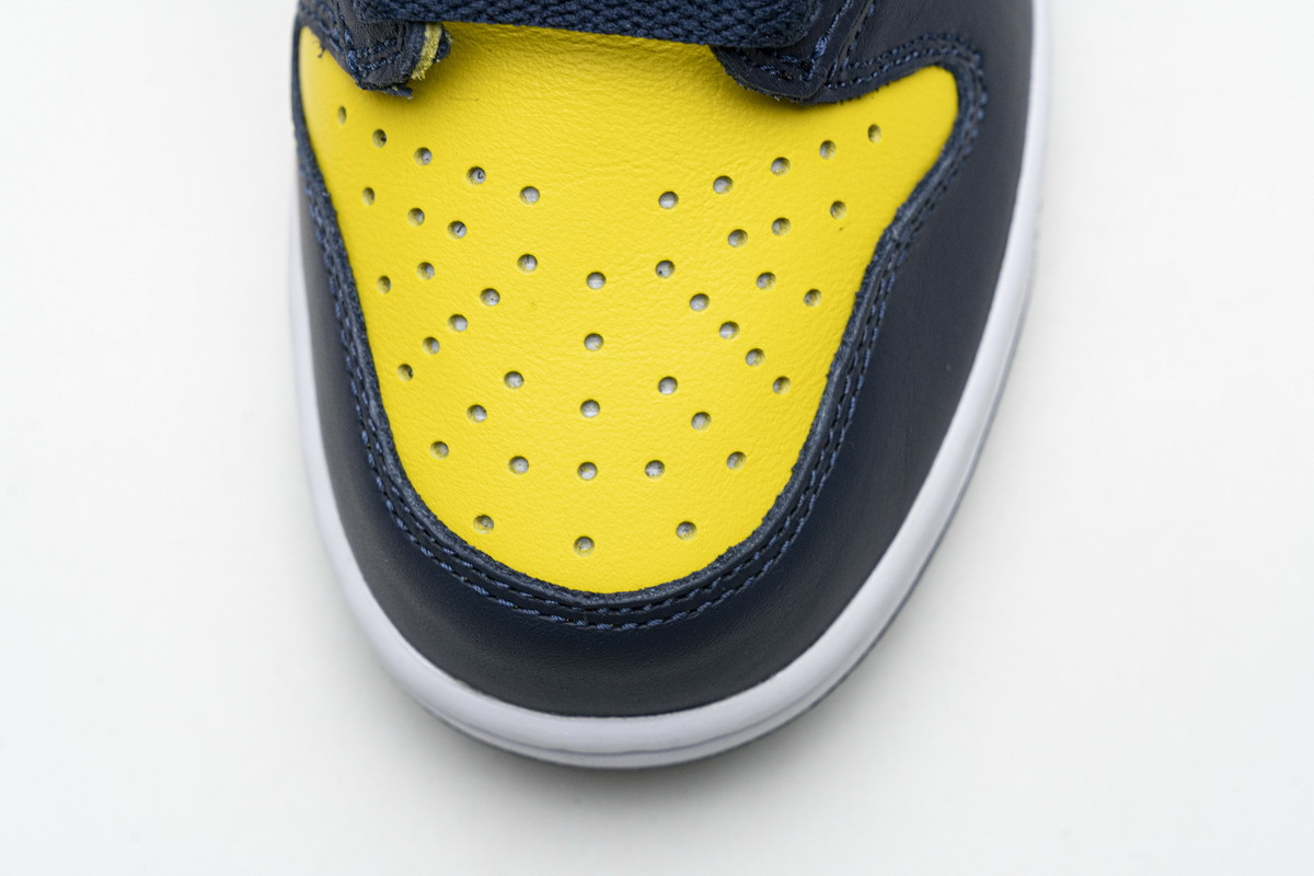 Nike Dunk High Michigan (2020) (Mid Quality)