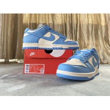 Nike Dunk Low Coast (W) (Mid Quality)