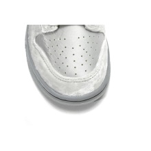 Nike Dunk Low Ice (W) (Top Quality)