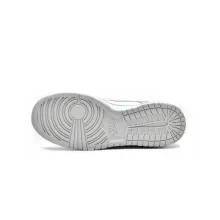 Nike Dunk Low Photon Dust (W) (Top Quality)