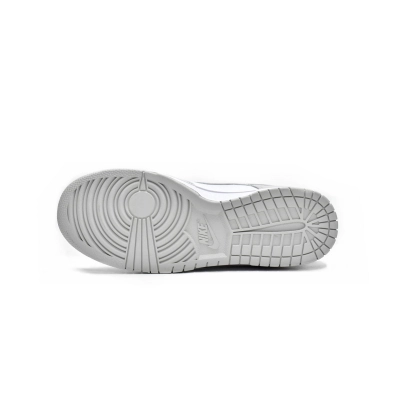 Nike Dunk Low Photon Dust (W) (Top Quality)
