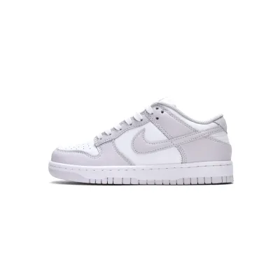 Nike Dunk Low Venice (W) (Mid Quality)
