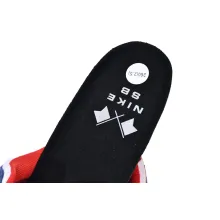 Nike Dunk SB Low Ishod Wair BMW(Mid Quality)