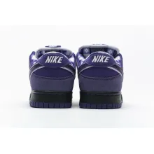 Nike SB Dunk Low Concepts Purple Lobster (Regular Box) (Top Quality)