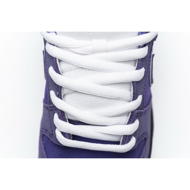 Nike SB Dunk Low Concepts Purple Lobster (Regular Box) (Top Quality)