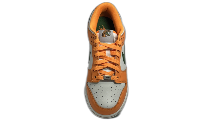 Nike Dunk Low FAMU