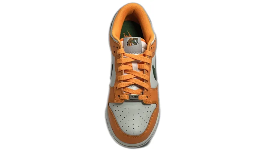 Nike Dunk Low FAMU