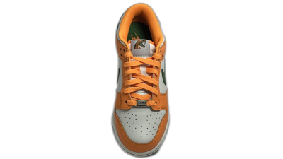 Nike Dunk Low FAMU